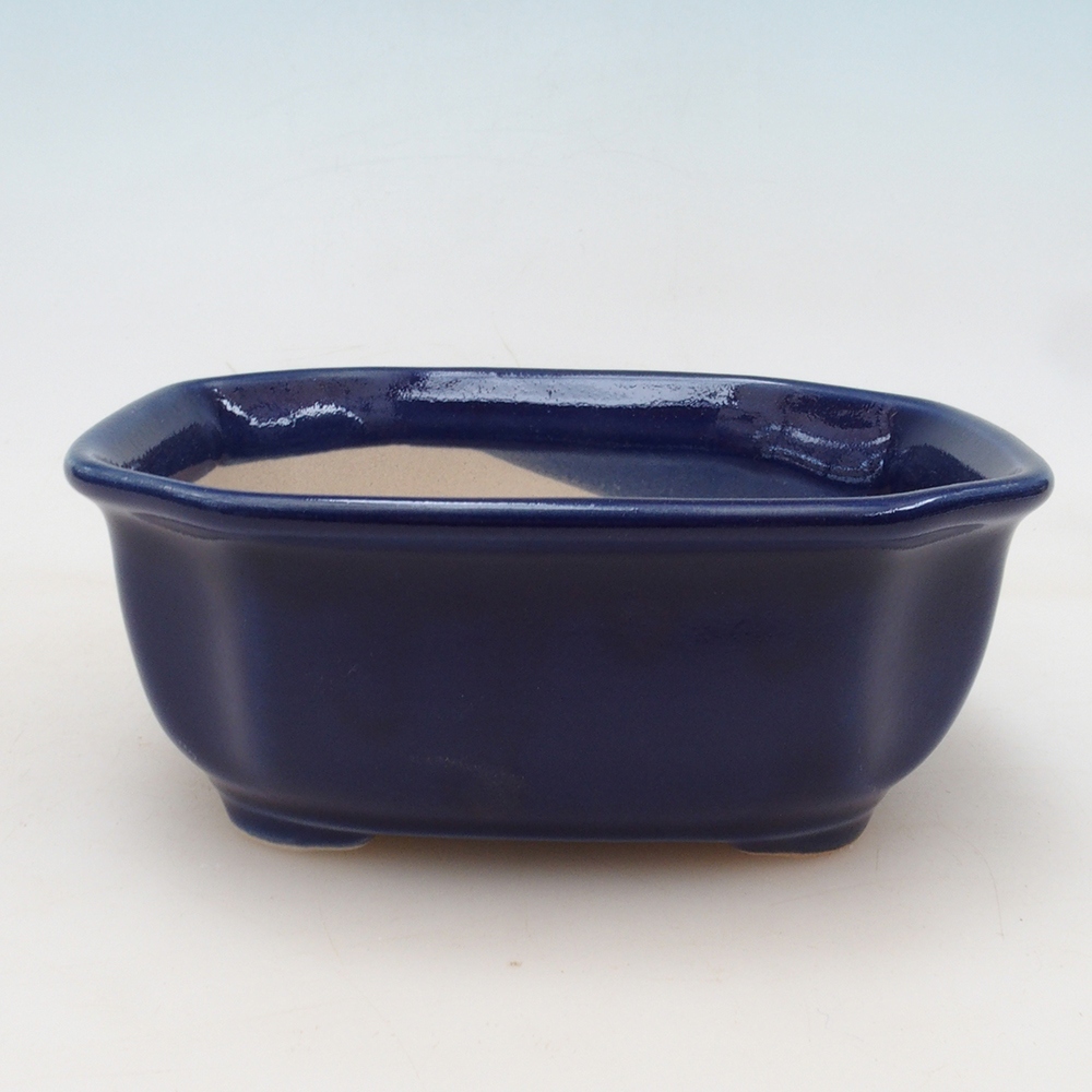 Bonsai bowl + saucer H32 - blue