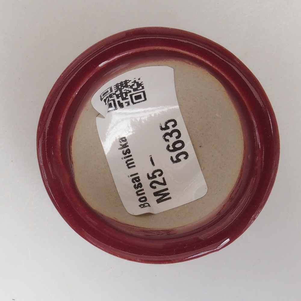 Mini bonsai bowl 4,5 x 4,5 x 2,5 cm, color burgundy