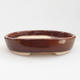 Ceramic bonsai bowl 11 x 9 x 2.5 cm, brown color - 1/4
