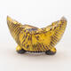 Ceramic shell 7 x 7 x 5.5 cm, color yellow - 1/3