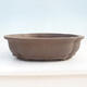 Bonsai bowl 50 x 41 x 13 cm - 1/7