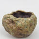 Ceramic shell 8 x 7 x 6 cm, color green - 1/3