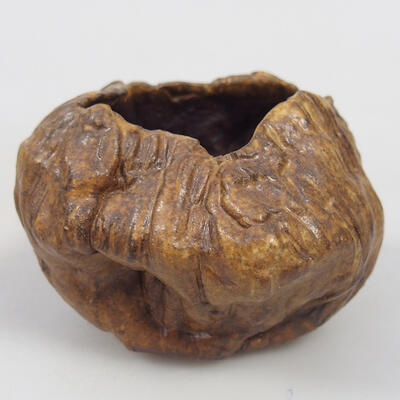 Ceramic Shell 8 x 8 x 5.5 cm, color brown - 1