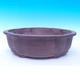 Bonsai bowl 55 x 44 x 18 cm - 1/7