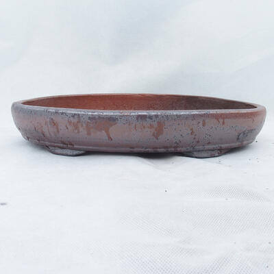Bonsai bowl 36 x 25 x 6 cm, color brown - 1