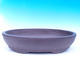 Bonsai bowl 60 x 43 x 14 cm - 1/7
