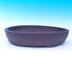 Bonsai bowl 50 x 35 x 10 cm - 1/6
