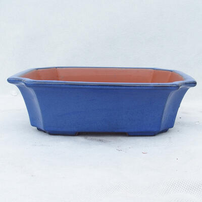 Bonsai bowl 22 x 17.5 x 6 cm, color blue - 1
