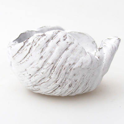 Ceramic Shell 8 x 6 x 5 cm, white color - 1