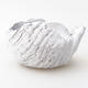 Ceramic Shell 8 x 6 x 5 cm, white color - 1/2