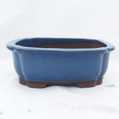 Bonsai bowl 30 x 25 x 10 cm, color blue - 1