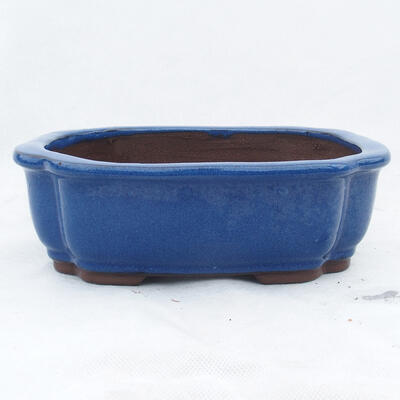 Bonsai bowl 24 x 19 x 7.5 cm, color blue - 1