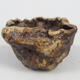 Ceramic shell 8 x 6.5 x 5 cm, color brown - 1/3
