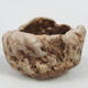 Ceramic shell 8 x 6 x 5.5 cm, color brown - 1/3