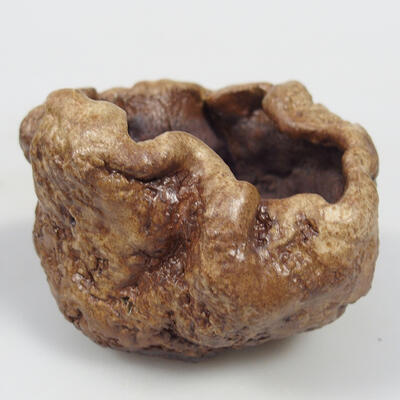 Ceramic shell 8 x 7 x 5 cm, color brown - 1