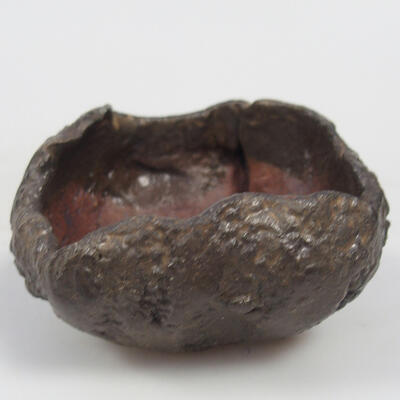 Ceramic shell 7 x 7 x 4 cm, color brown - 1