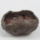Ceramic shell 7 x 7 x 4 cm, color brown - 1/3