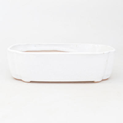 Ceramic bonsai bowl 18 x 13,5 x 5 cm, color white - 1