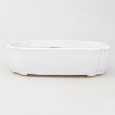 Ceramic bonsai bowl 16 x 11,5 x 4 cm, color white - 1