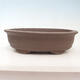 Bonsai bowl 41 x 33 x 10 cm - 1/7