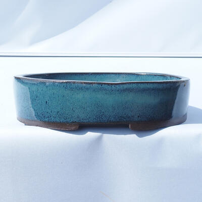 Bonsai bowl 20 x 14 x 4.5 cm color blue - 1