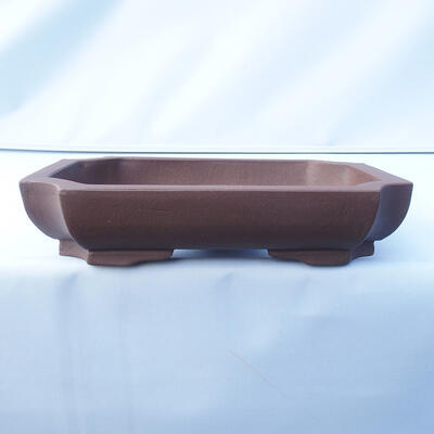 Bonsai bowl 31 x 23 x 7 cm - 1