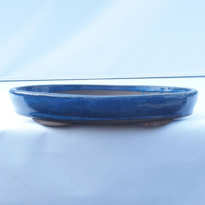 Bonsai bowl 31 x 22 x 5 cm color blue - 1