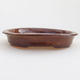 Ceramic bonsai bowl 12 x 10 x 2.5 cm, brown color - 1/4