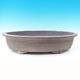 Bonsai bowl 60 x 37 x 13 cm - 1/4