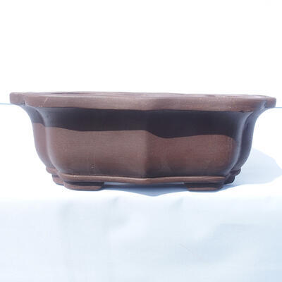 Bonsai bowl 31 x 24 x 10 cm - 1