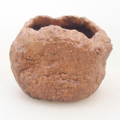Ceramic shell 5 x 5 x 6 cm, brown color - 1
