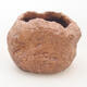 Ceramic shell 5 x 5 x 6 cm, brown color - 1/3