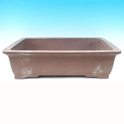 Bonsai bowl 60 x 46 x 18 cm - 1