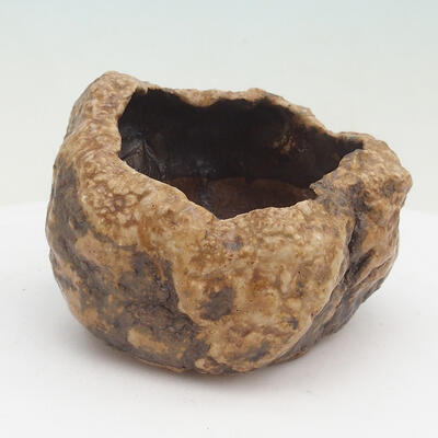 Ceramic shell 9 x 9 x 6 cm, brown-beige color - 1
