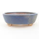 Ceramic bonsai bowl 12 x 9.5 x 3.5 cm, color blue - 1/3