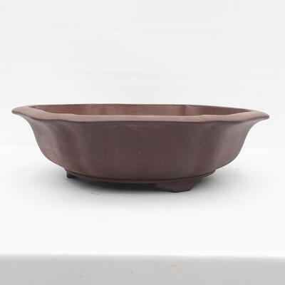 Bonsai bowl 50 x 47 x 14 cm - Japanese quality - 1