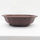 Bonsai bowl 50 x 47 x 14 cm - Japanese quality - 1/7