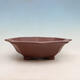 Bonsai bowl 39 x 35 x 10 cm, color brown - 1/6