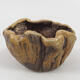 Ceramic shell 9 x 8.5 x 6 cm, color brown - 1/3