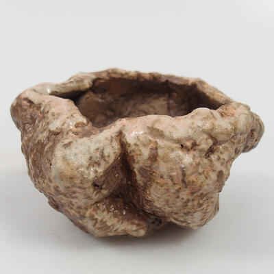 Ceramic shell 9 x 8 x 5 cm, color brown - 1