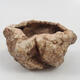 Ceramic shell 9 x 8 x 5 cm, color brown - 1/3
