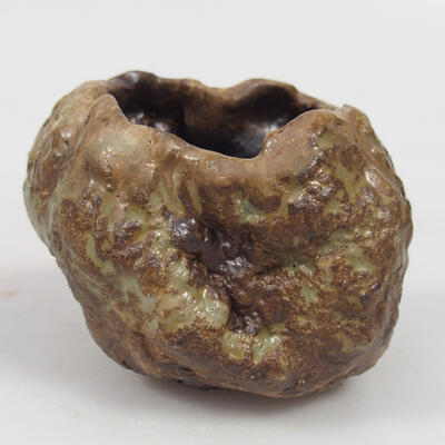 Ceramic shell 8 x 7 x 6 cm, color brown - 1