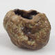 Ceramic shell 8 x 7 x 6 cm, color brown - 1/3