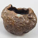 Ceramic shell 8.5 x 7 x 6 cm, color brown - 1/3