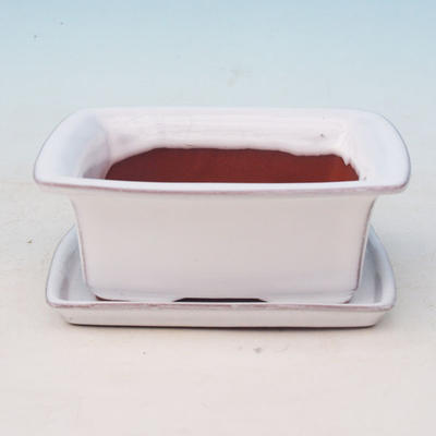 Bonsai bowl H1 - 11,5 x 10 x 4,5 cm, 1 x 9,5 x 1 cm, white - 11,5 x 10 x 4,5 cm, tray 1 x 9,5 x 1 cm - 1