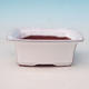 Bonsai ceramic bowl H 11, white - 1/3
