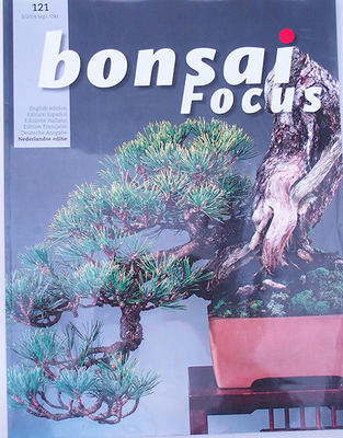 Bonsai focus - Dutch No.121 - 1