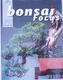 Bonsai focus - Dutch No.121 - 1/6