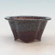 Bonsai bowl 15.5 x 13 x 7.5 cm, wine color - 1/6