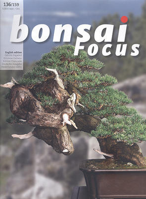 Bonsai focus No.136 - 1